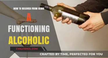 Breaking Free: Recovering from Functioning Alcoholism