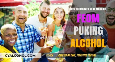 Hangover Remedies: Alcohol-Induced Vomiting Recovery Guide