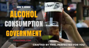 Effective Government Strategies to Reduce Alcohol Consumption Nationwide