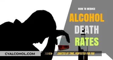 Effective Strategies to Lower Alcohol-Related Fatalities and Save Lives