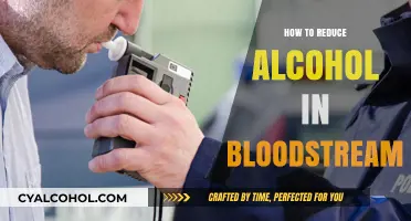 Effective Strategies to Lower Blood Alcohol Levels Safely and Quickly