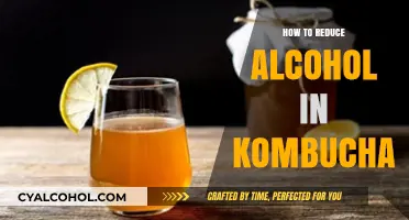 Lower Alcohol Content in Kombucha: Simple Tips for a Healthier Brew