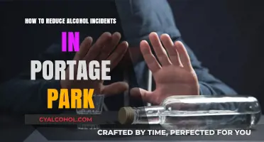 Minimizing Alcohol Incidents in Portage Park