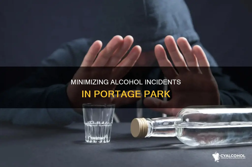 how to reduce alcohol incidents in portage park