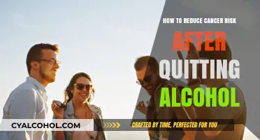 Lower Cancer Risk Post-Alcohol: Healthy Habits for a Sober Life