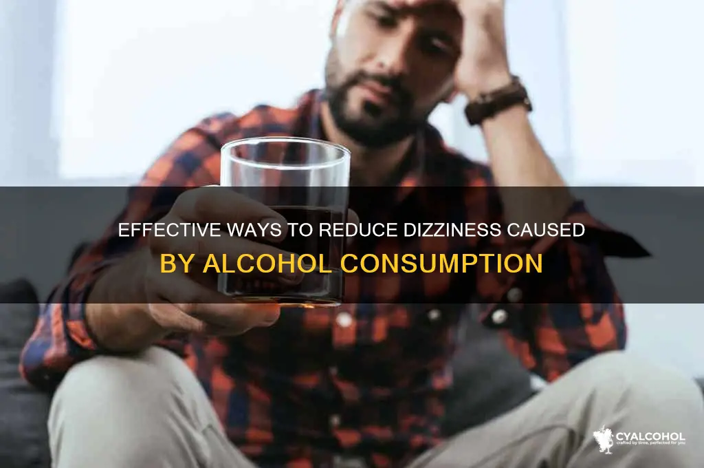 how to reduce dizziness from alcohol