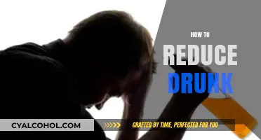 Effective Strategies to Reduce Drunkenness and Promote Safer Drinking Habits