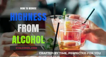 Quick Tips to Sober Up: Reducing Alcohol Highness Safely and Effectively