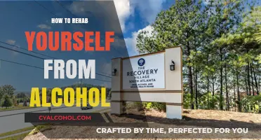 Reclaim Your Life: A Self-Guided Alcohol Rehab Journey