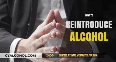 Reintroducing Alcohol: A Mindful Guide to Moderation and Balance