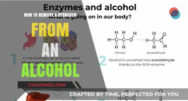 Dehydrogenation of Alcohols: Techniques and Applications