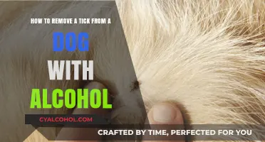 Removing Ticks from Dogs with Alcohol: A Safe Guide