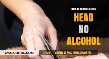 Removing Ticks: A Safe, Alcohol-Free Method