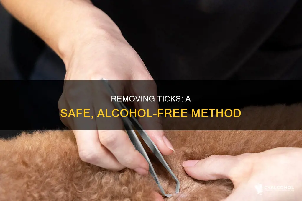how to remove a tick head no alcohol