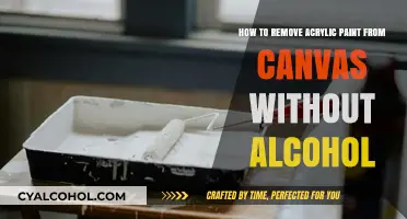 Removing Acrylic Paint from Canvas: An Alcohol-Free Guide