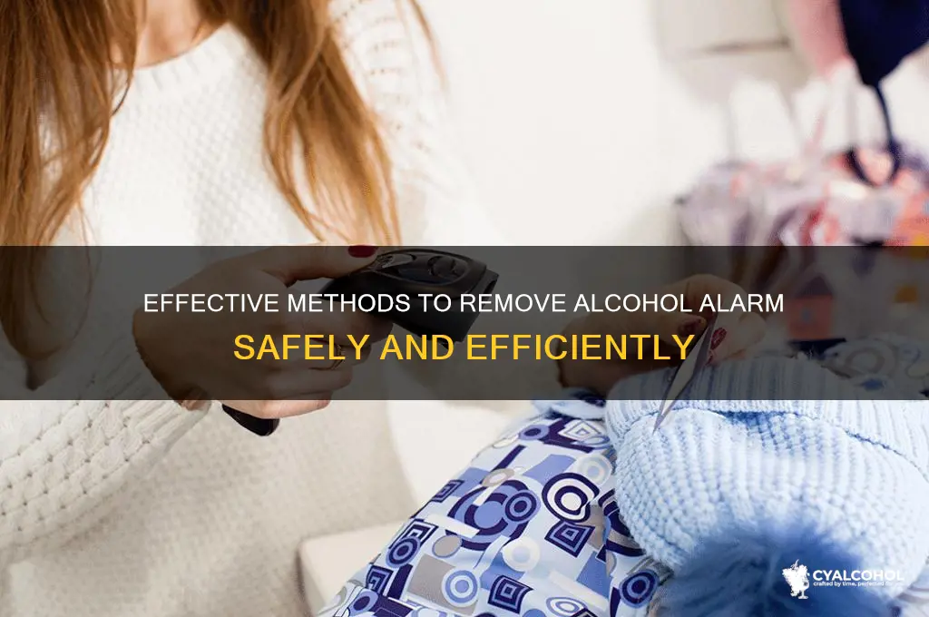 how to remove alarm from alcohol