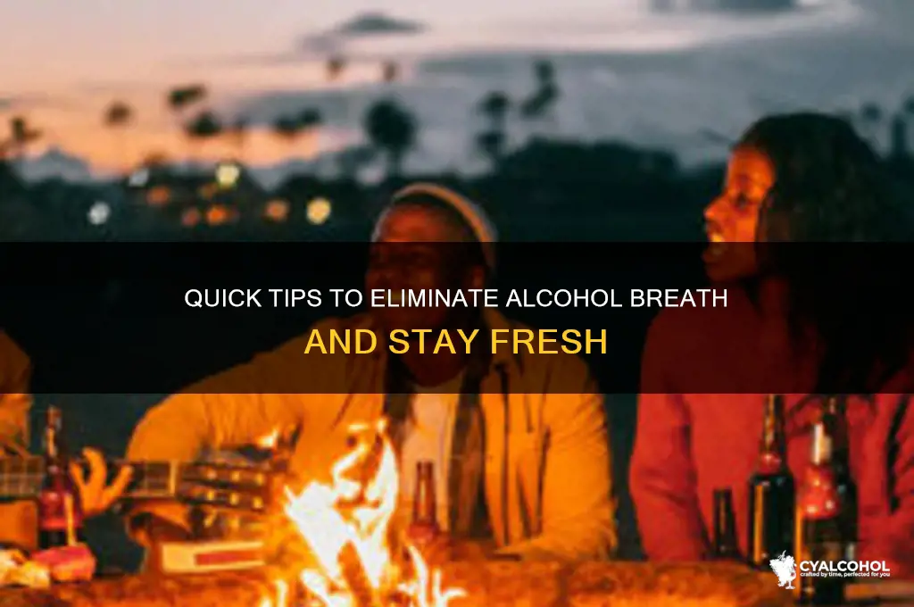 how to remove alcohol breath
