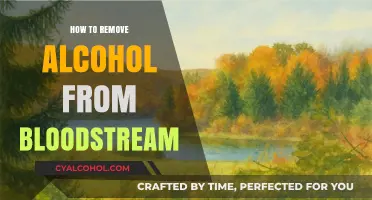Effective Ways to Detox: Removing Alcohol from Your Bloodstream Safely