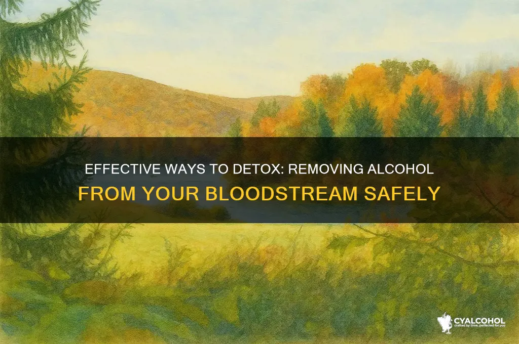 how to remove alcohol from bloodstream