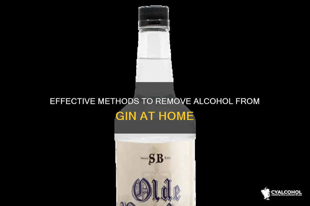 how to remove alcohol from gin