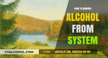 Effective Ways to Detox and Eliminate Alcohol from Your Body Fast