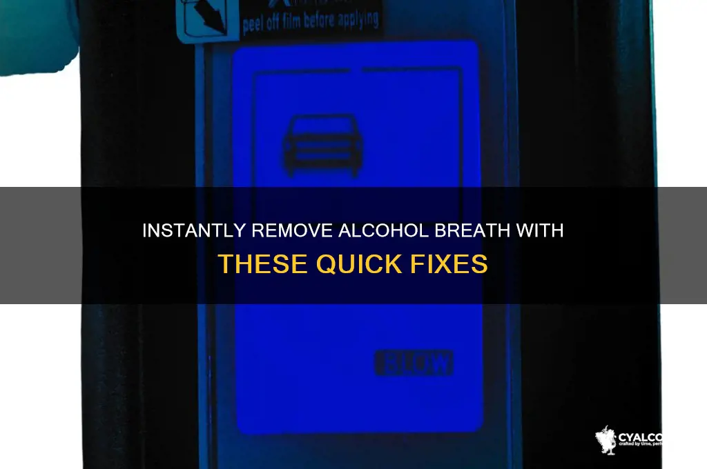 How to Remove Alcohol Smell from Mouth Quickly Quickly with Effective Remedies How to Remove Alcohol Smell from Mouth Quickly Quickly with Effective Remedies