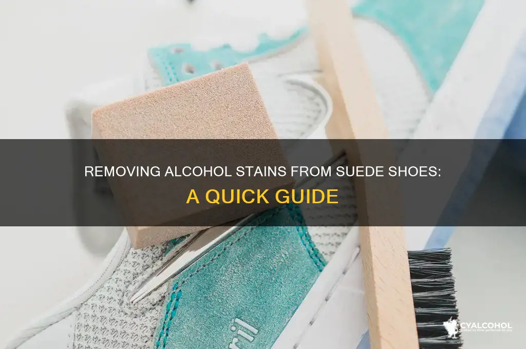 how to remove alcohol stains from suede shoes