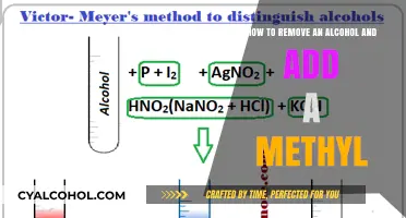 Transforming Alcohols: Methyl Addition Strategies
