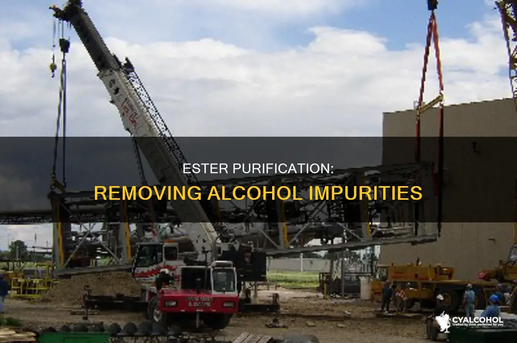 how to remove an alcohol from an ester