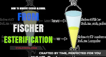 Efficiently Removing Excess Alcohol from Fischer Esterification