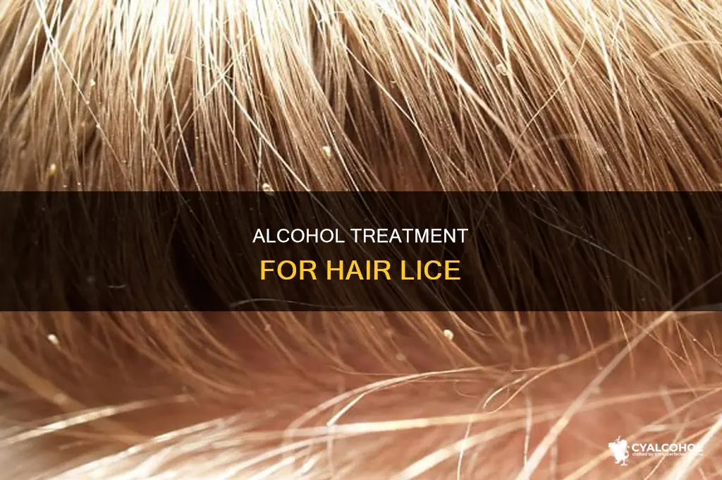 how to remove lice from hair with alcohol