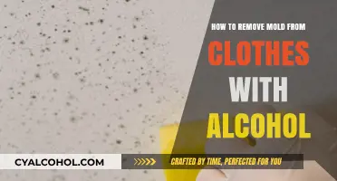 Eradicate Mold from Clothes Using Alcohol