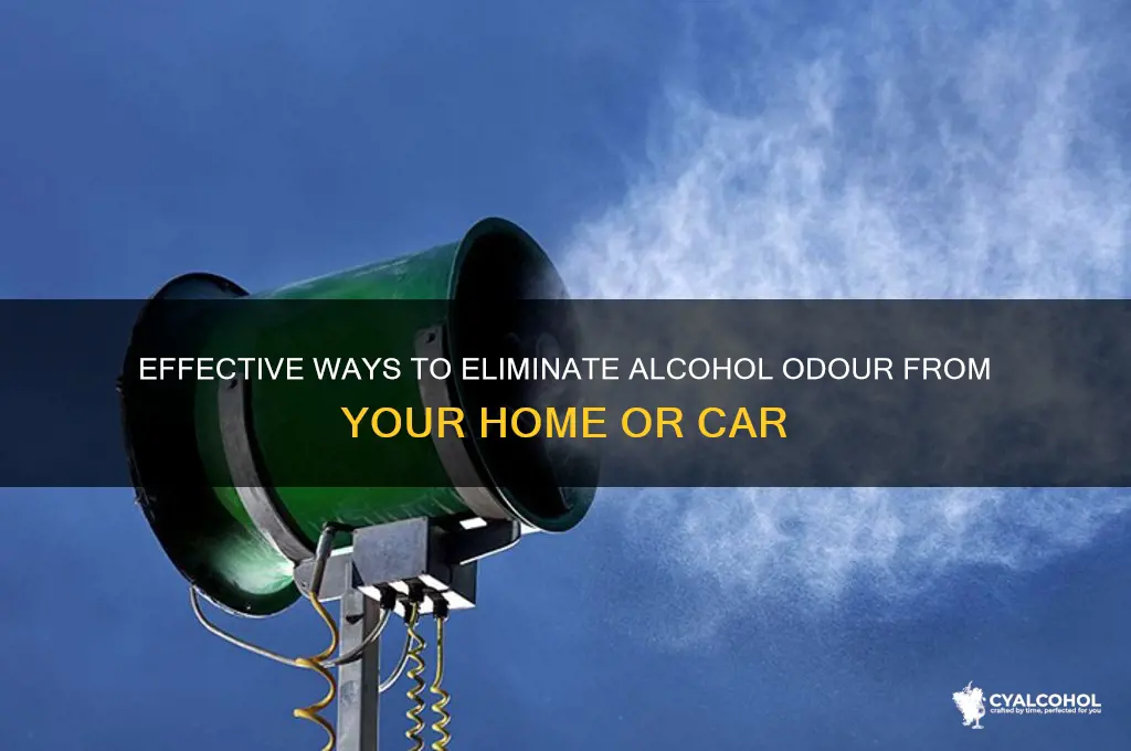 how to remove odour of alcohol