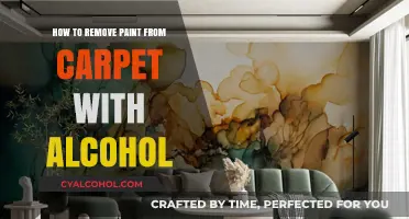 Removing Paint Stains from Carpets with Alcohol