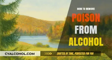 Safely Detoxifying Alcohol: Effective Methods to Remove Poisonous Substances