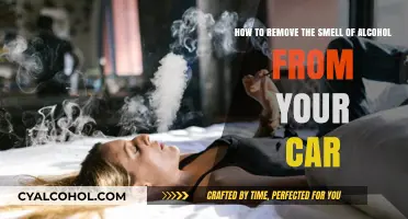 Eradicate Alcohol Odors From Your Car: Quick and Easy Methods