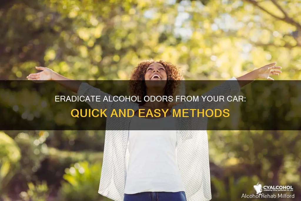 how to remove the smell of alcohol from your car