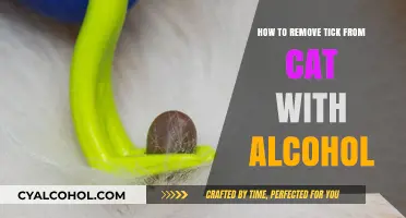 Removing Ticks from Cats with Alcohol: A Safe Method