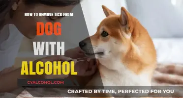 Effective Tick Removal: Using Alcohol to Safely Extract Ticks from Dogs