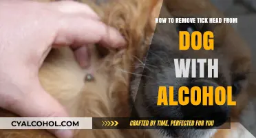 Removing Ticks from Dogs with Alcohol: A Safe Solution