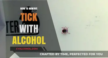 Effective Tick Removal: Using Alcohol Safely and Properly