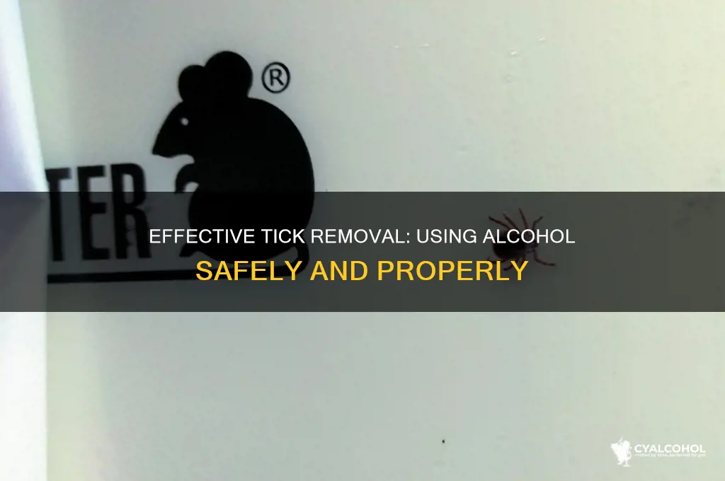 how to remove tick with alcohol