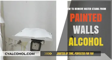 Removing Water Stains from Painted Walls with Alcohol