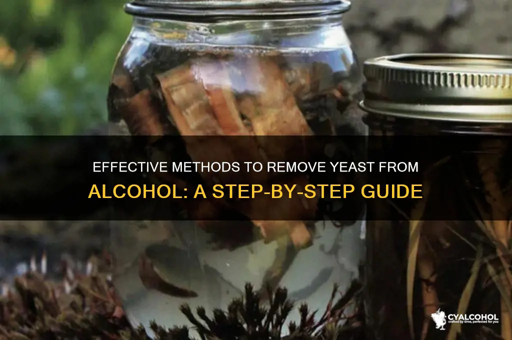 how to remove yeast from alcohol