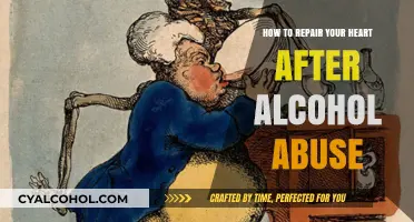 Healing Your Heart: Recovering from Alcohol Abuse and Restoring Emotional Health