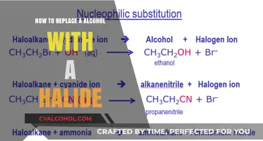 Replacing Alcohol with Halide: A Step-by-Step Guide to Nucleophilic Substitution