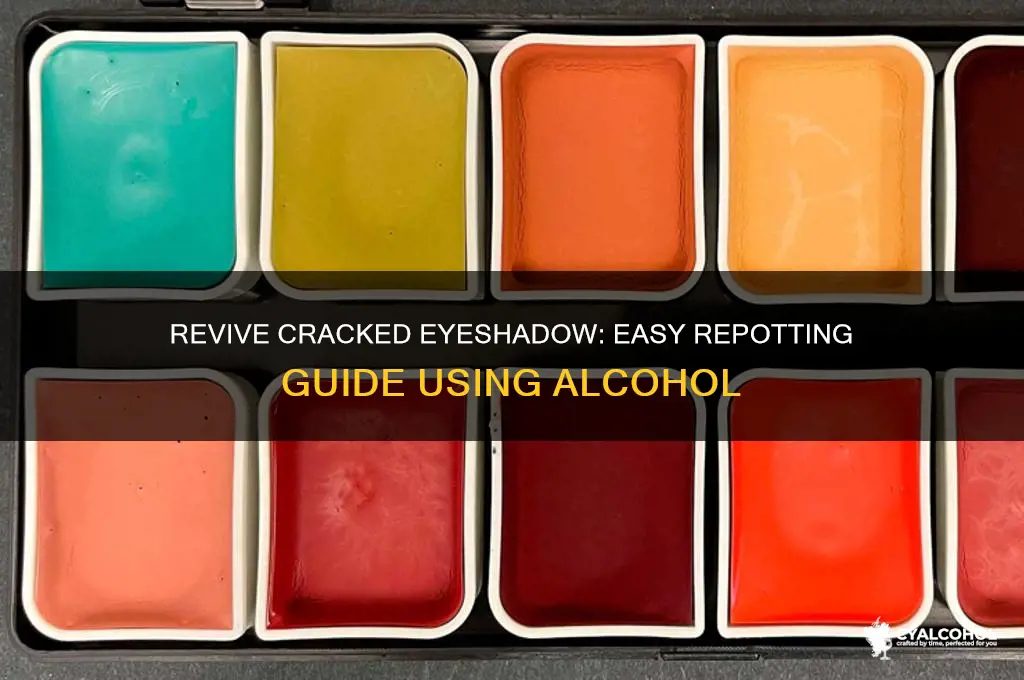 how to repot eyeshadow with alcohol