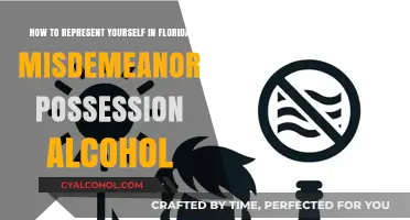 Florida Misdemeanor Alcohol Possession: Representing Yourself in Court