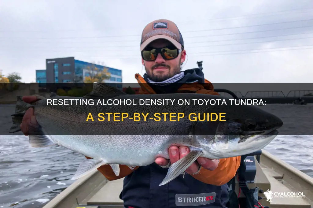 how to reset alcohol density on toyota tundra