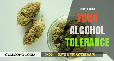 Resetting Alcohol Tolerance: Strategies for a Healthier Relationship with Drinking
